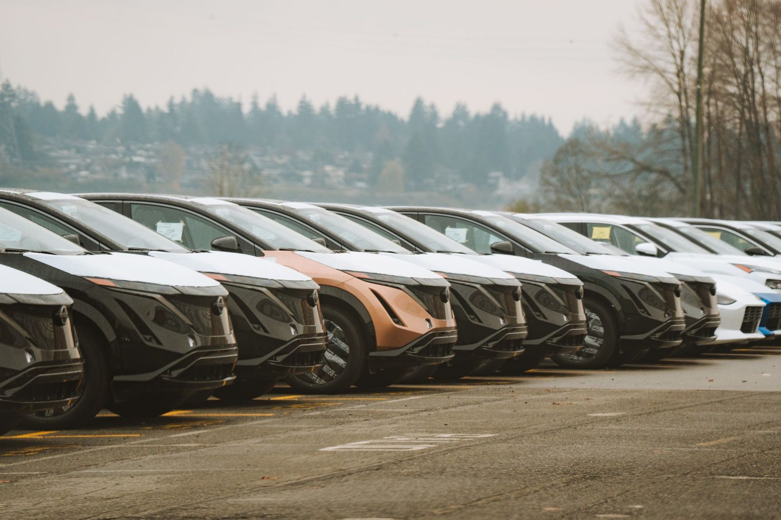 Dealer & fleet services by Tint Station